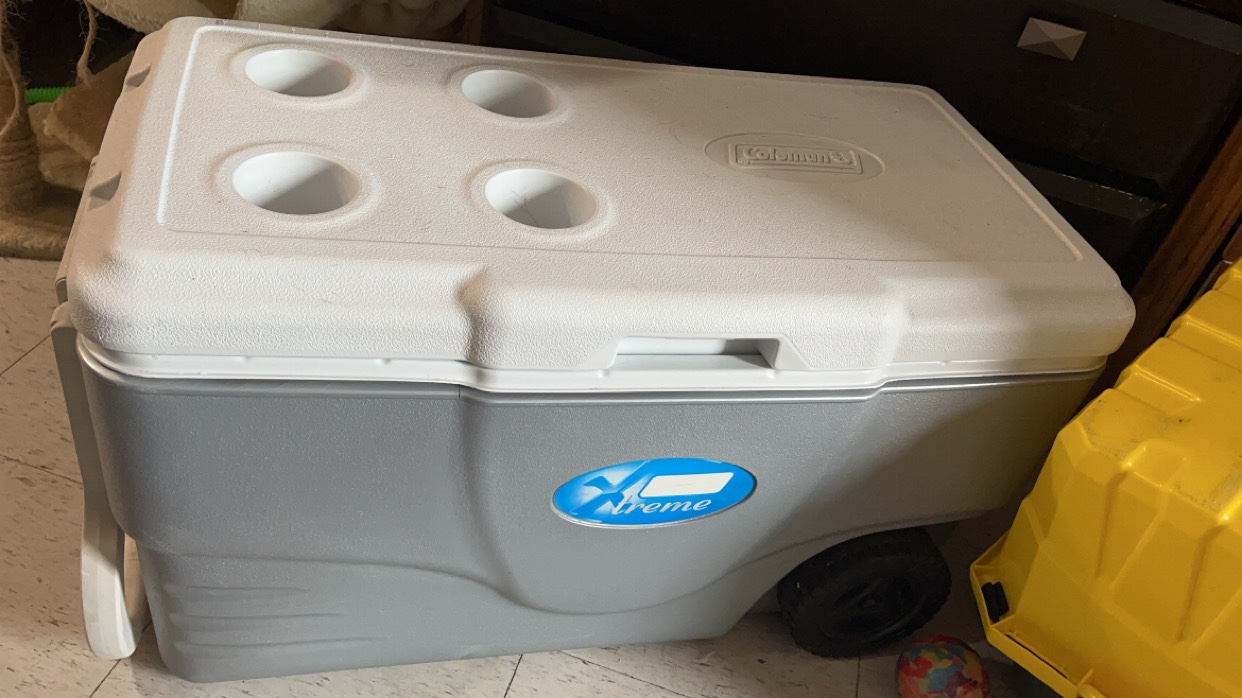 Cooler with wheels thumbnail