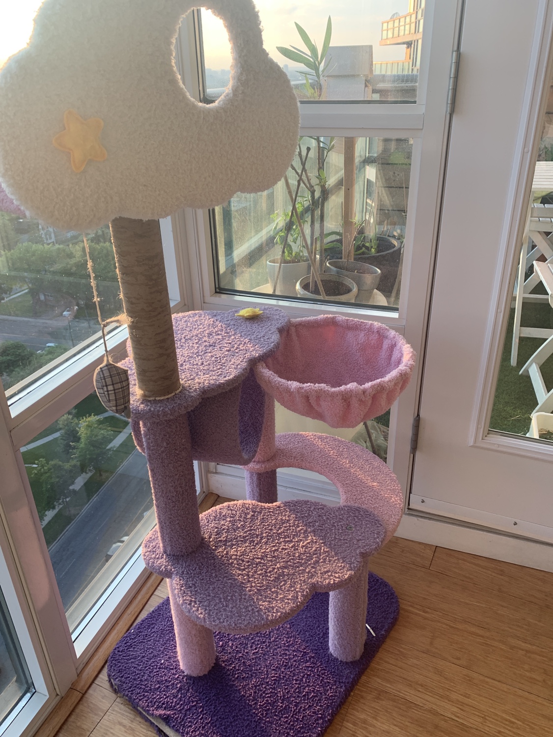Cat tree image indicator(3)