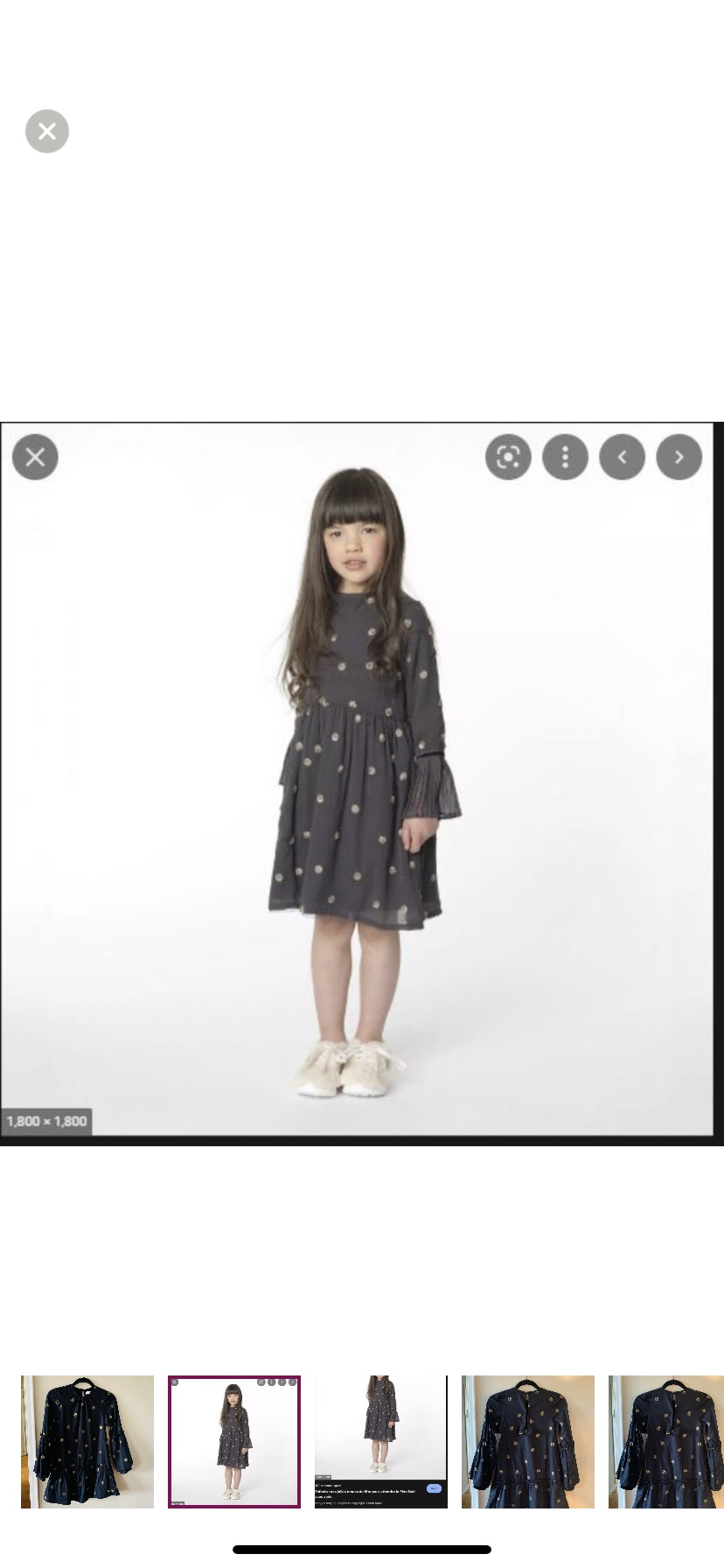 “Bleu Comme Gris PARIS” size 16 dress image indicator(5)