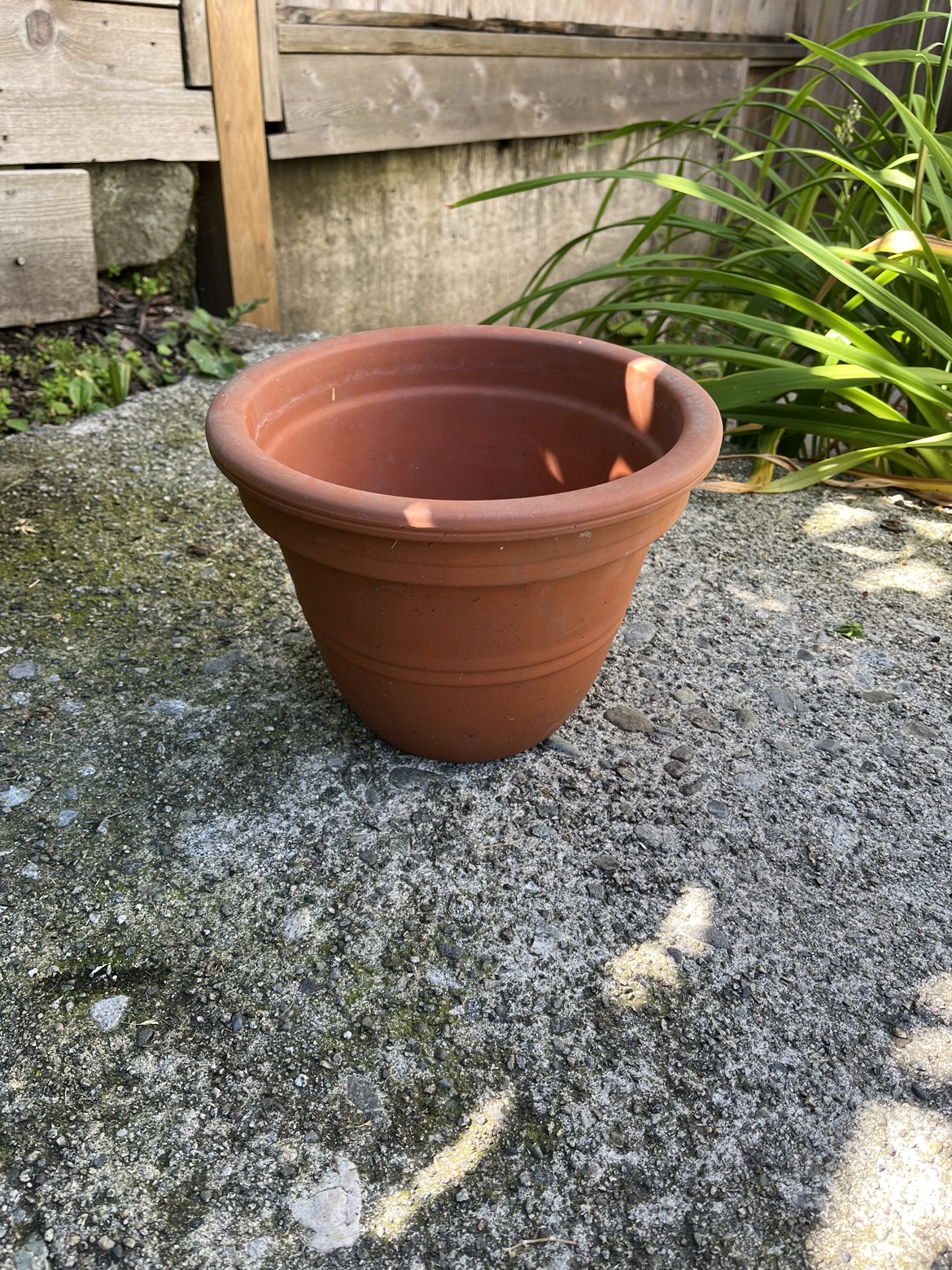 Simple terracotta pot