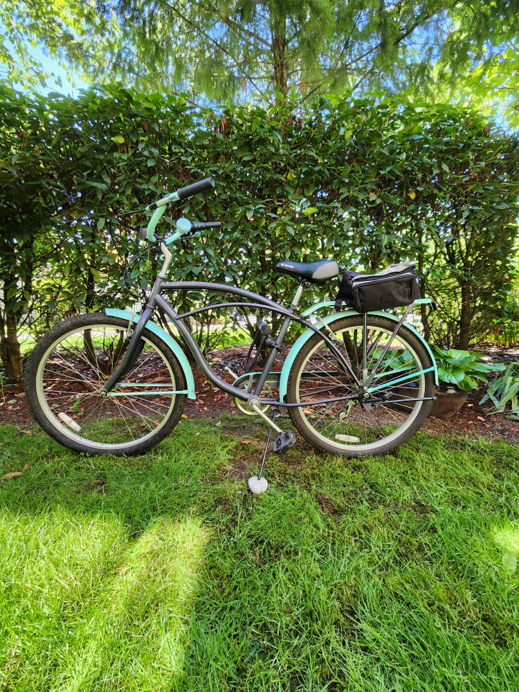 Schwinn Cruising Bike