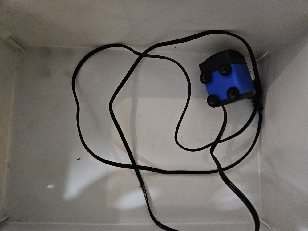 hydroponics tray with water pump - photo 2