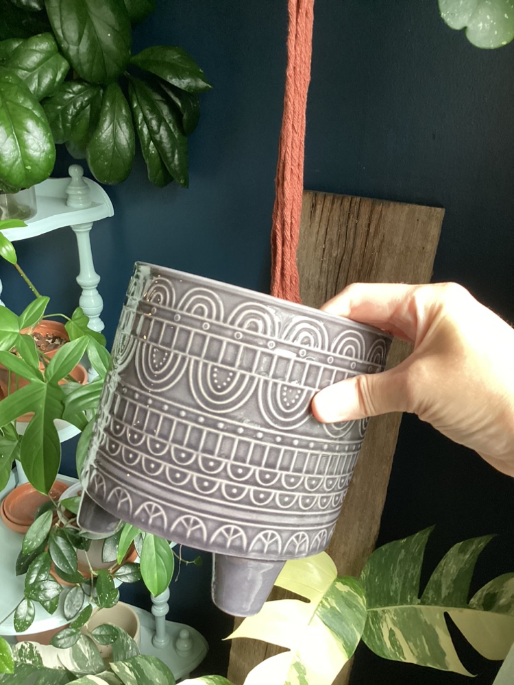 Collection of Plant Pots image indicator(4)