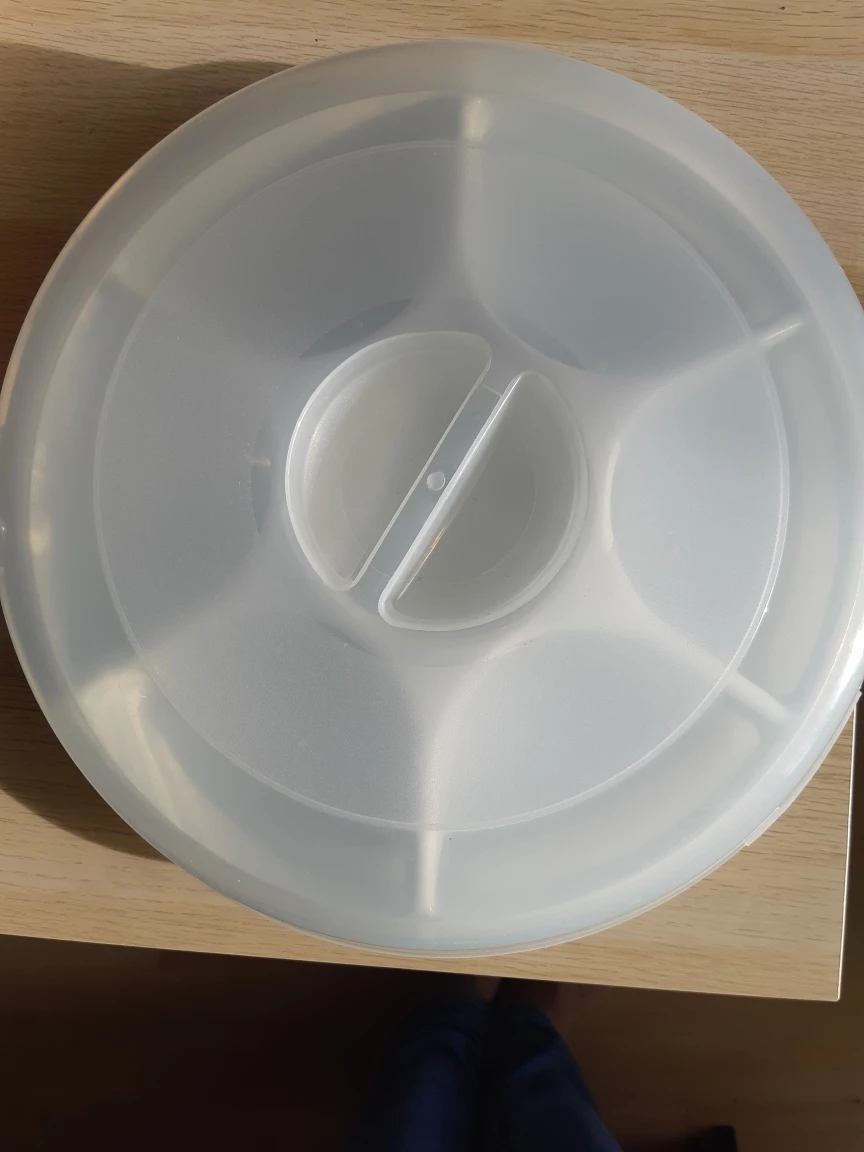 Round Divided serving Tray