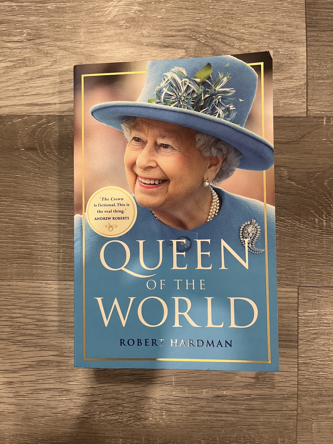 Queen of the world novel thumbnail