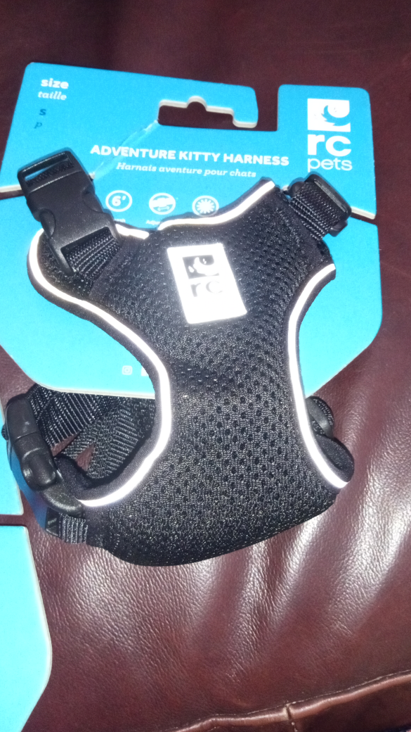 RC adventure Kitty harnesses