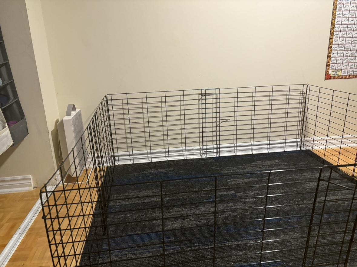 Animal enclosure image indicator(2)