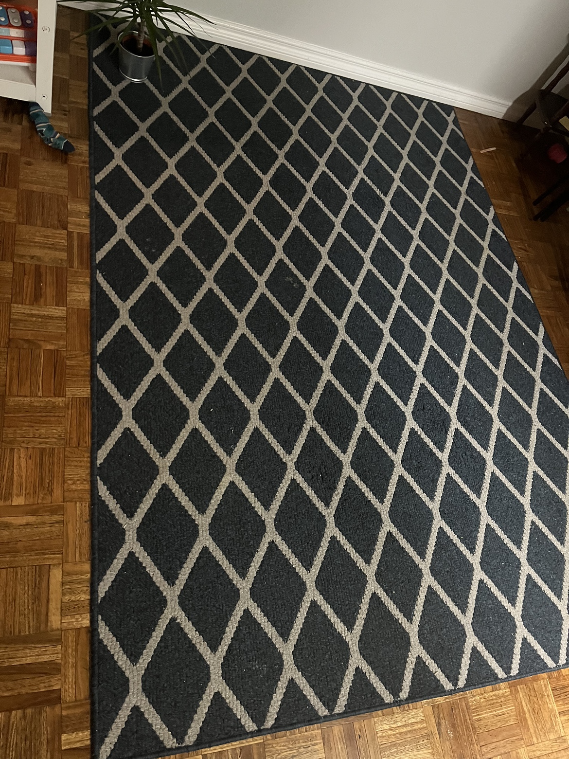 Blue rug