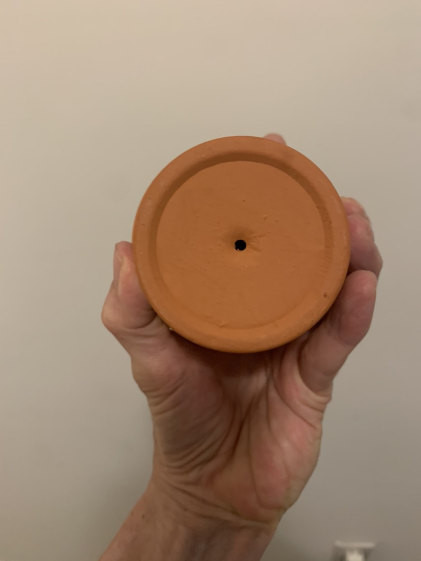 New - Seedling starter pot set image indicator(3)