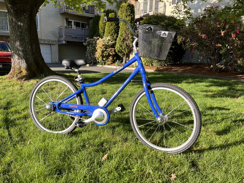 Giant Cruiser Bike