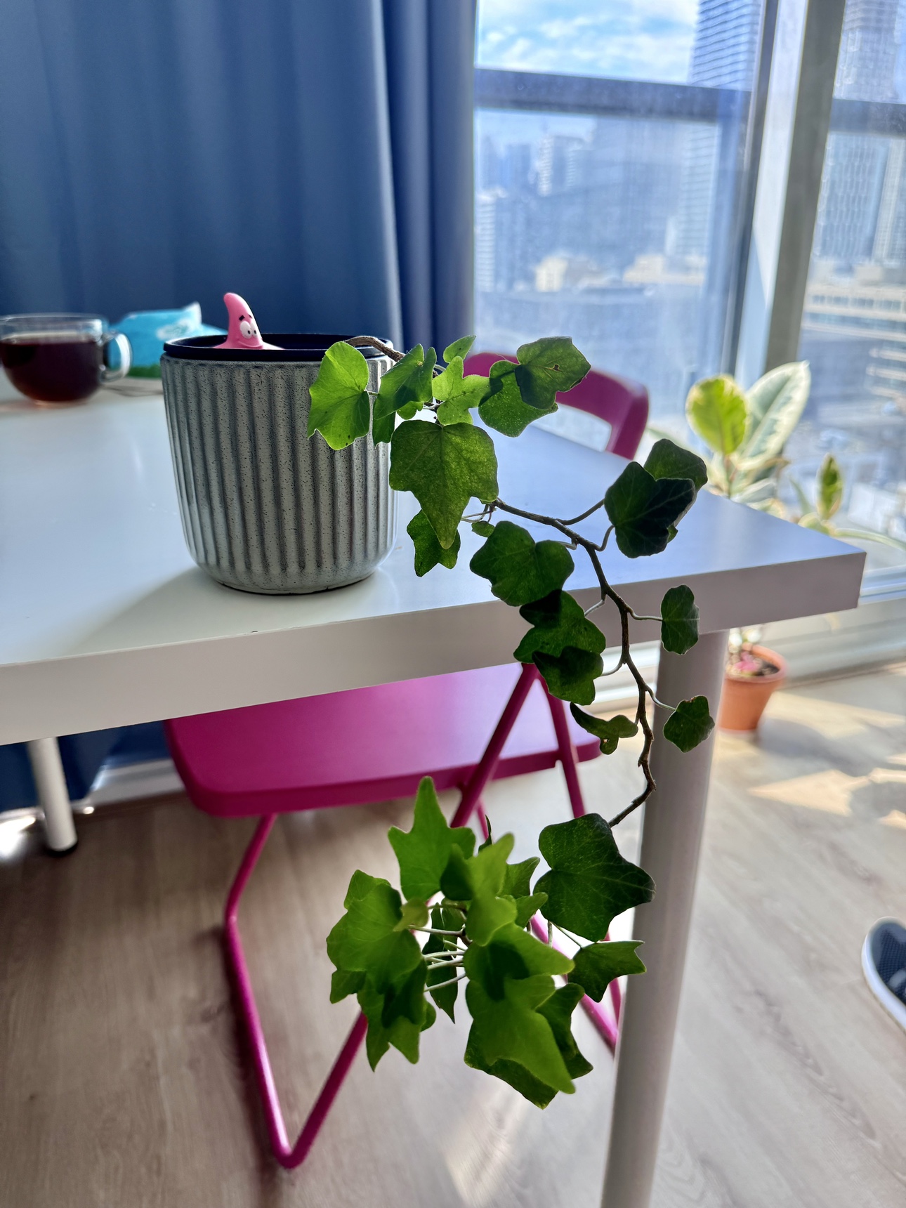Small plant