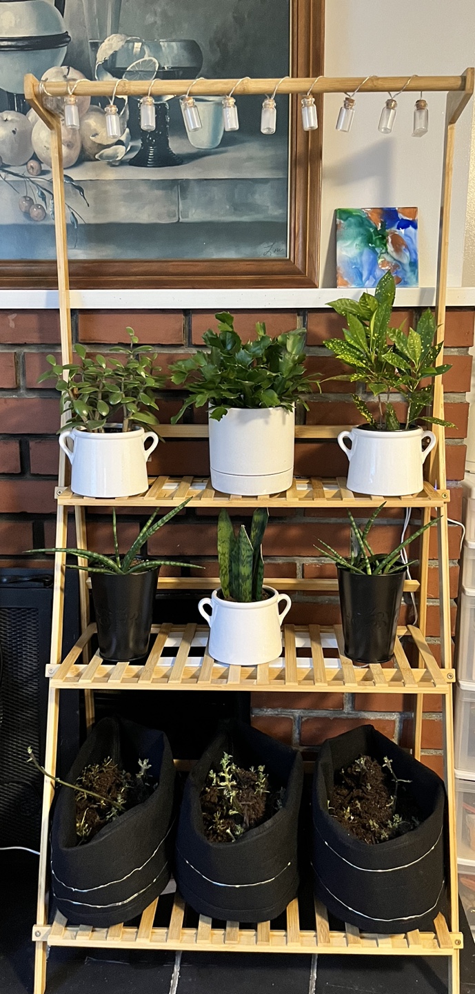 Plant stand for Sale! - photo 2