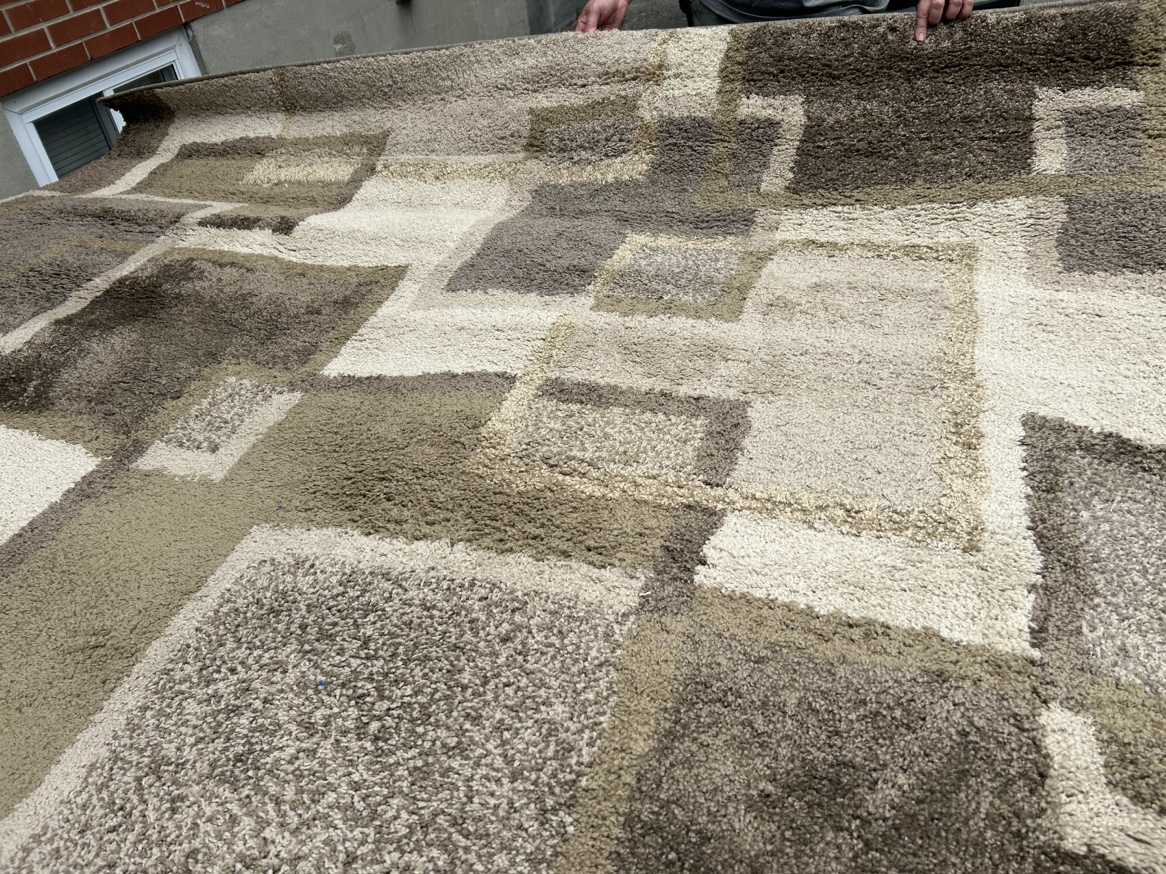 8’ x 10’ shag area rug - photo 2