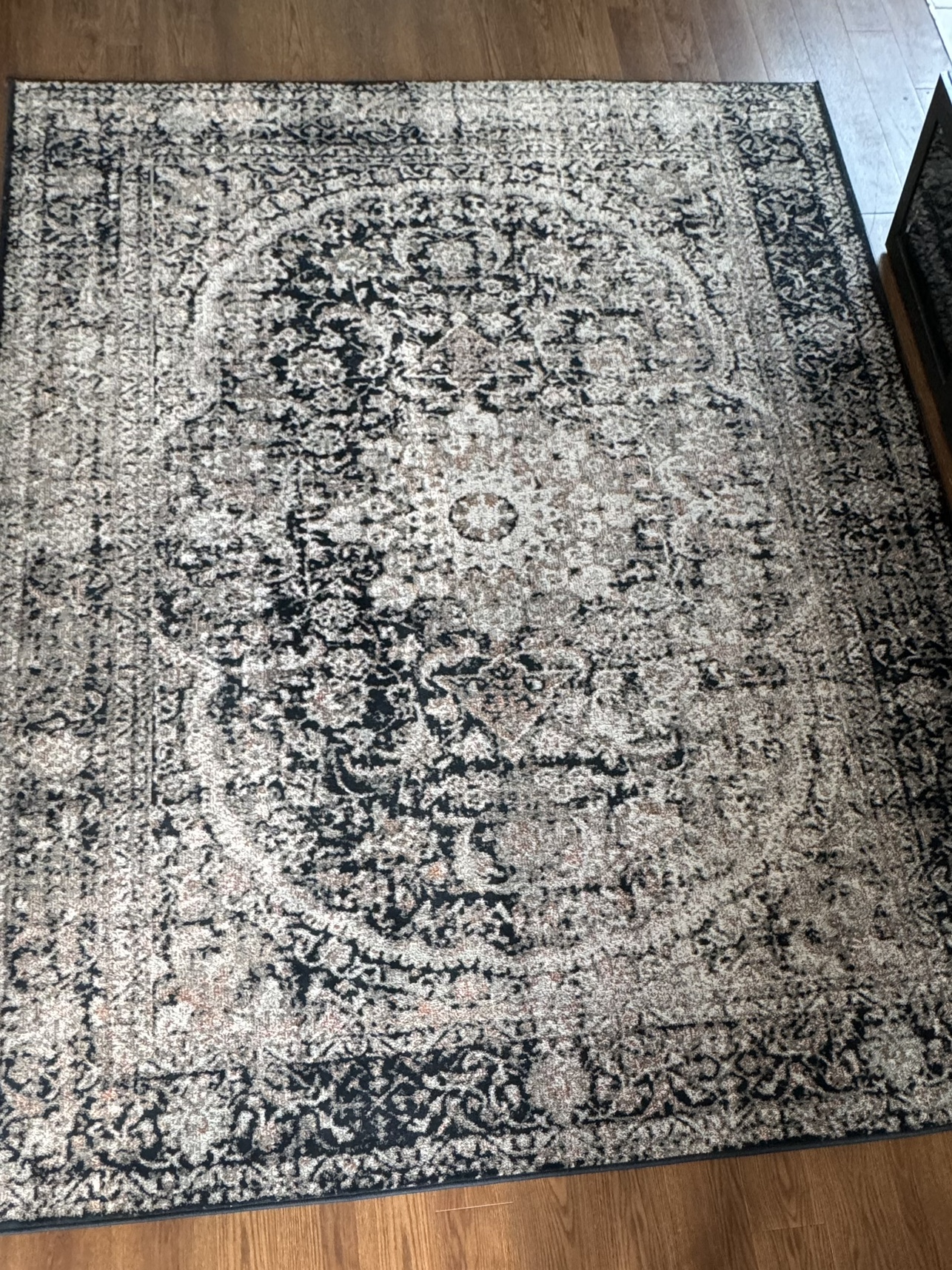 Area rug - photo 2