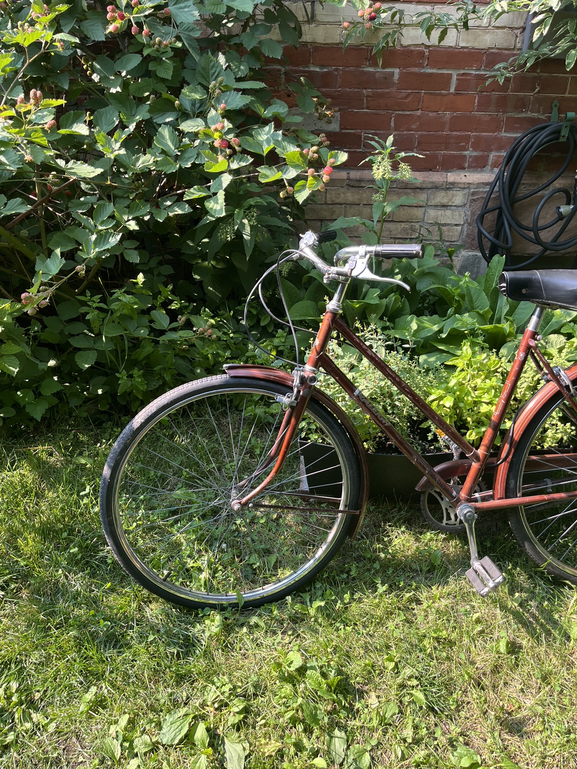 Raleigh women’s bike image indicator(3)