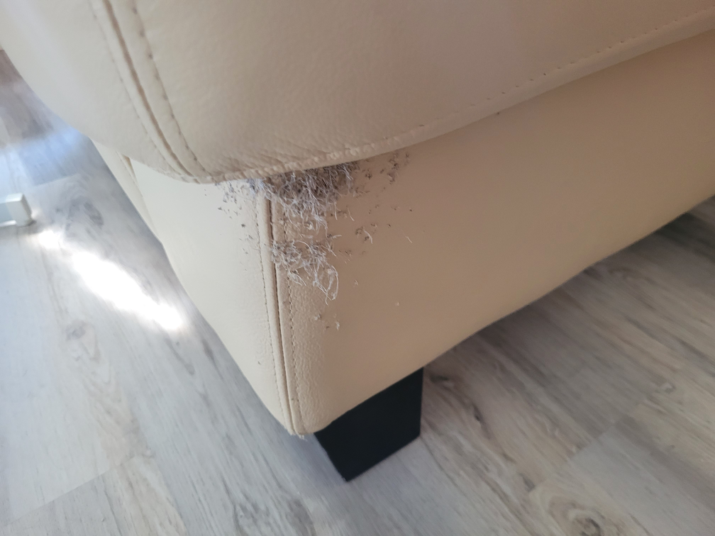 FREE Sofa & Chair Set - photo 4