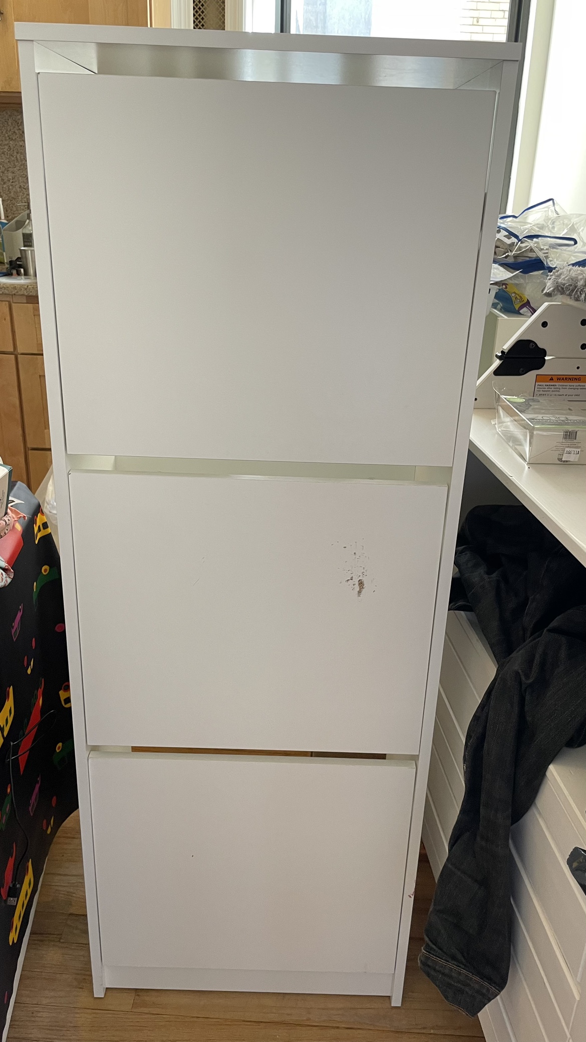 Shoe storage cabinet