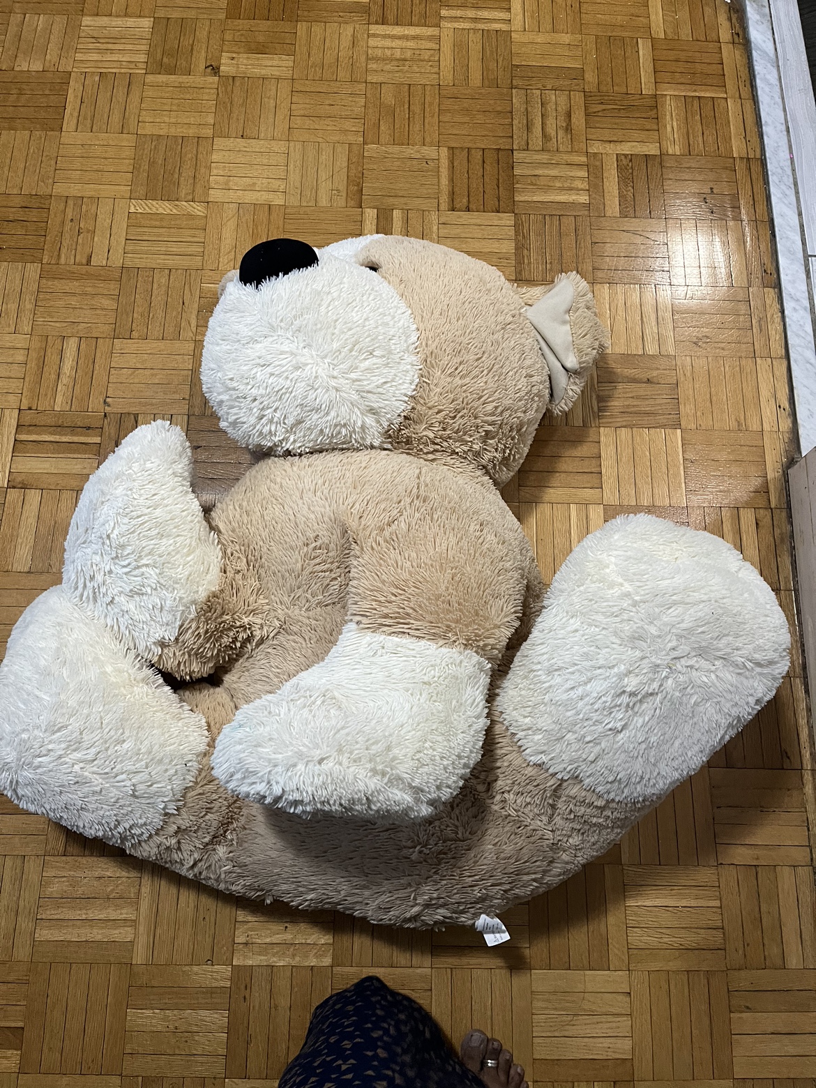 Big soft dog 😍 - photo 2
