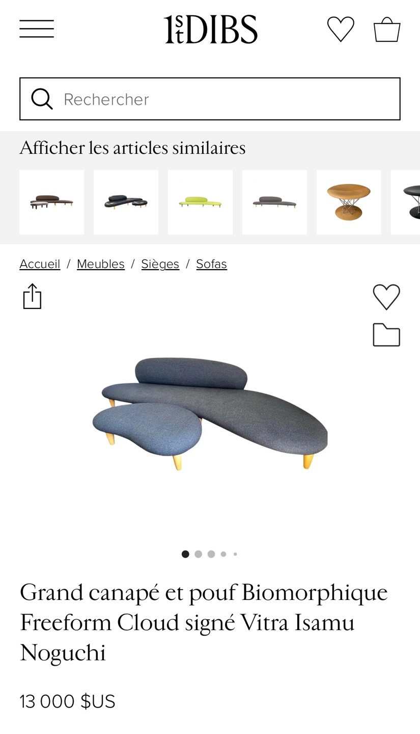 Freeform Noguchi Sofa and Ottoman - photo 4