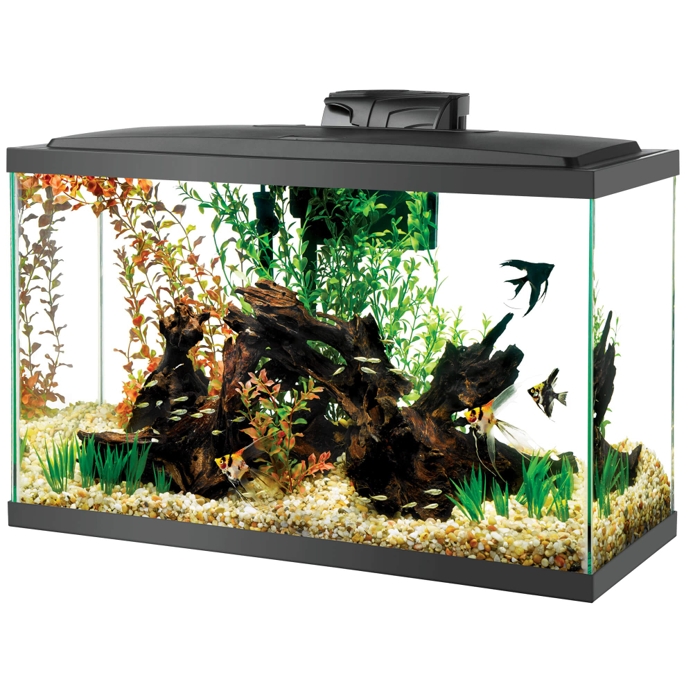 Aqueon 29gal LED Aquarium Kit (unopened)