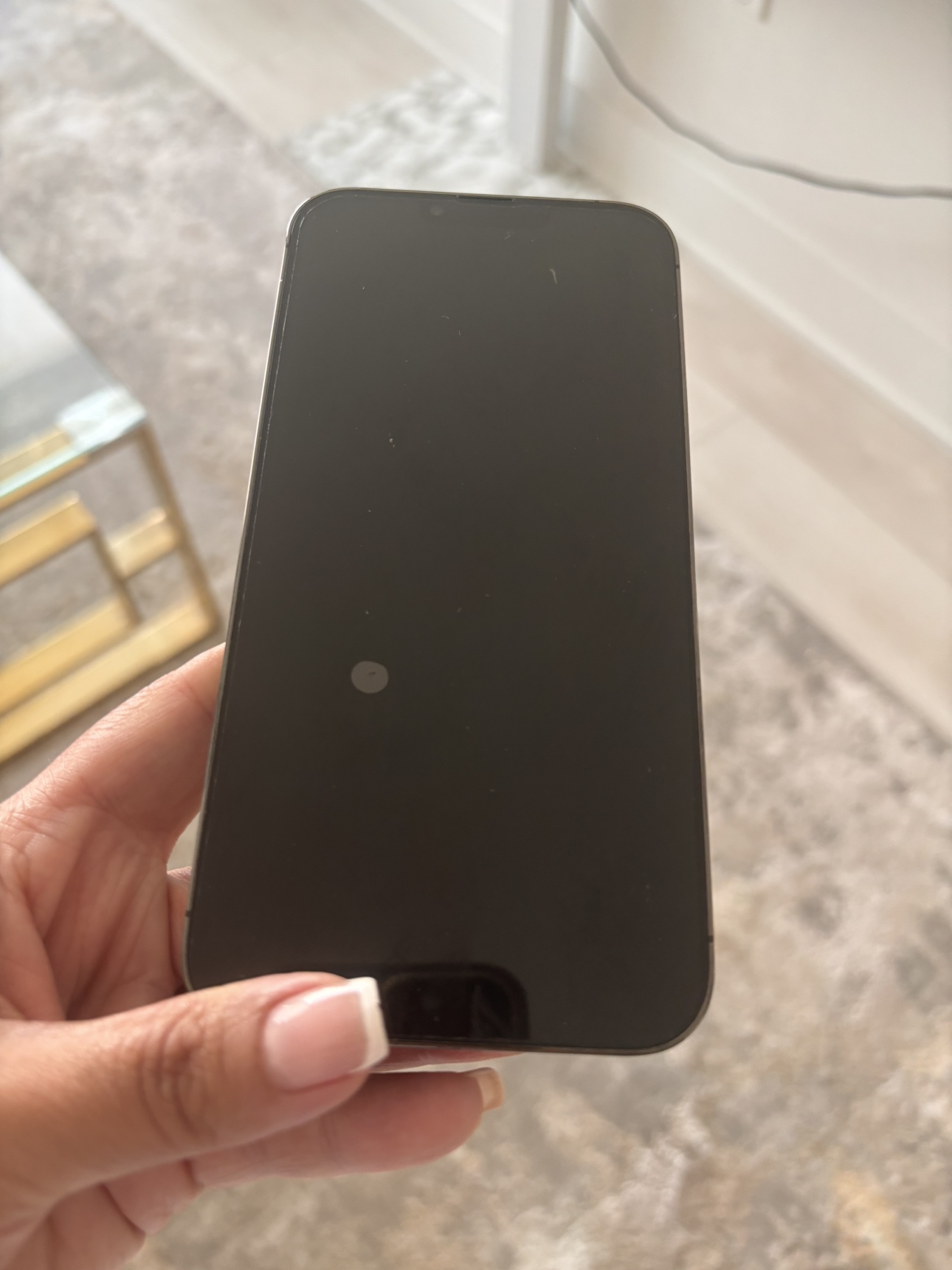 iPhone 13 Pro Max - photo 2