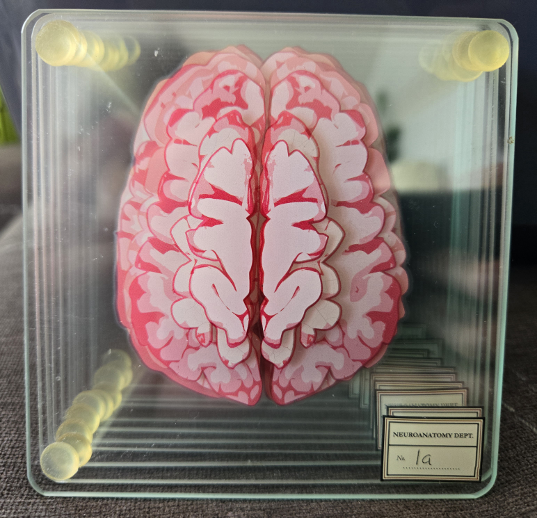 Brain Scan Coasters, set of 10 thumbnail