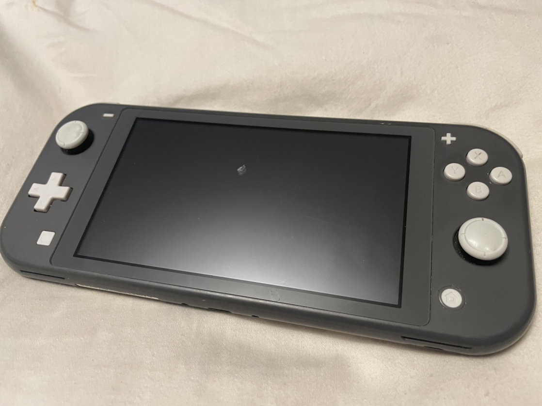 Nintendo switch lite