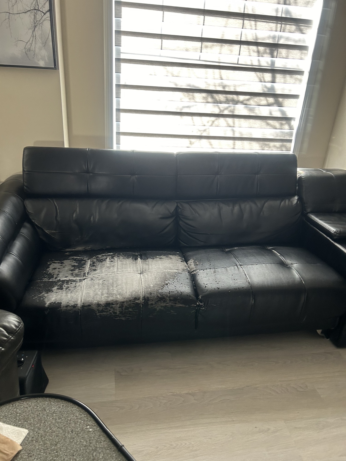 Couch - photo 3