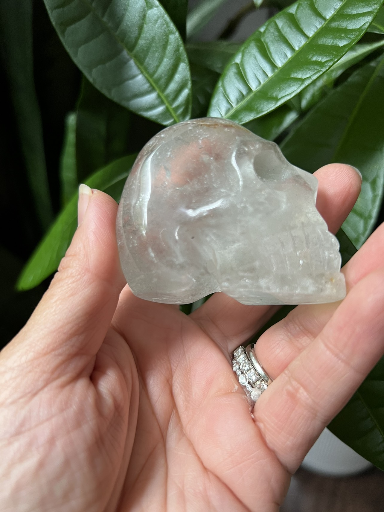Garden quartz skull carving with minor chip (c) |  crystal - photo 4