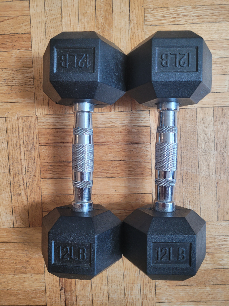12 lbs Dumbells - Brand New thumbnail