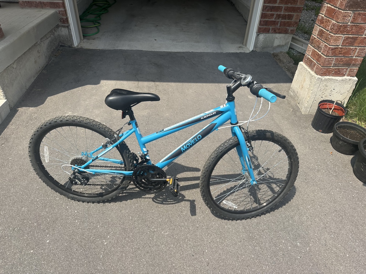 Bike - photo 3