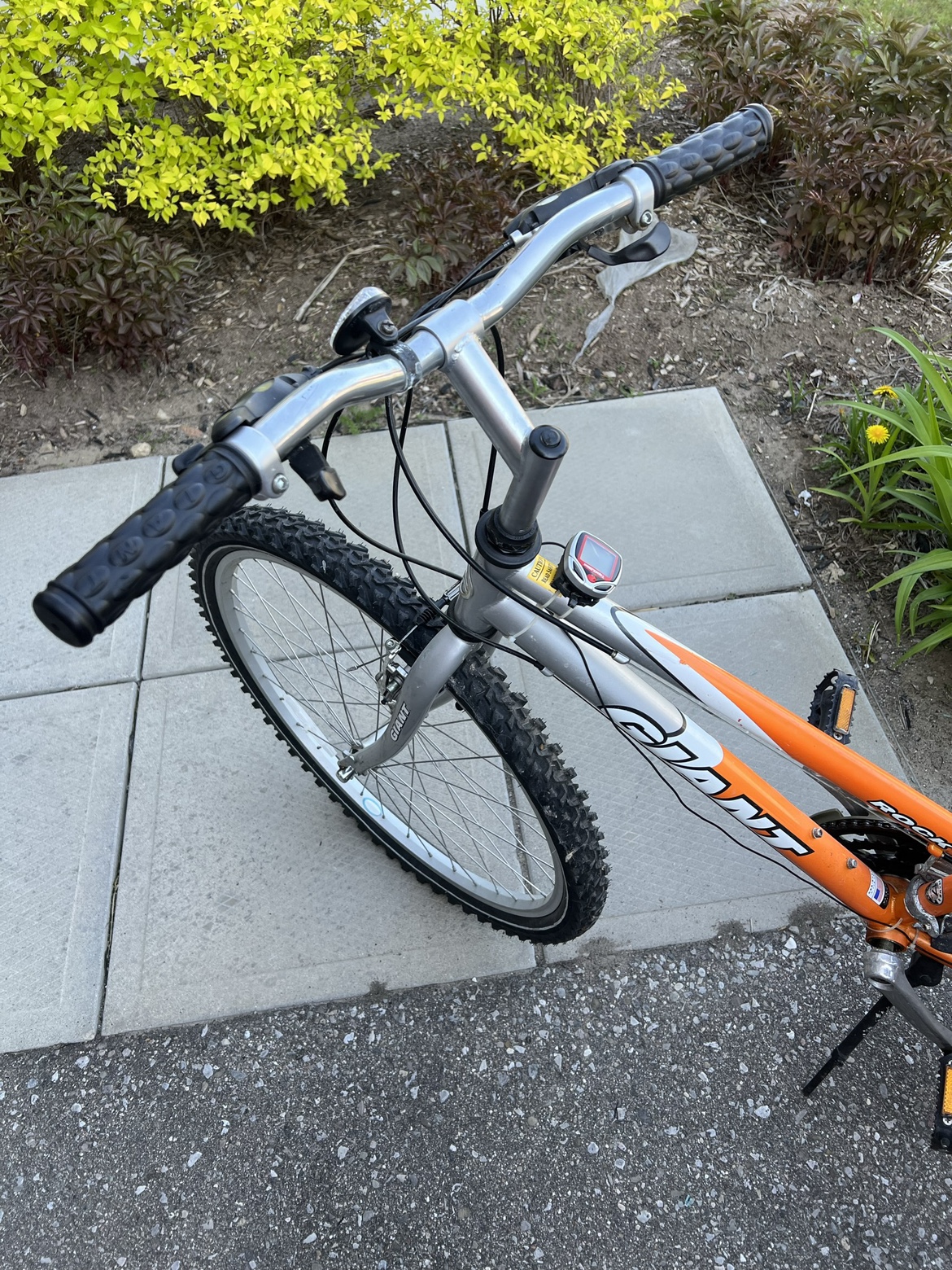 One bike for men and one for women image indicator(3)