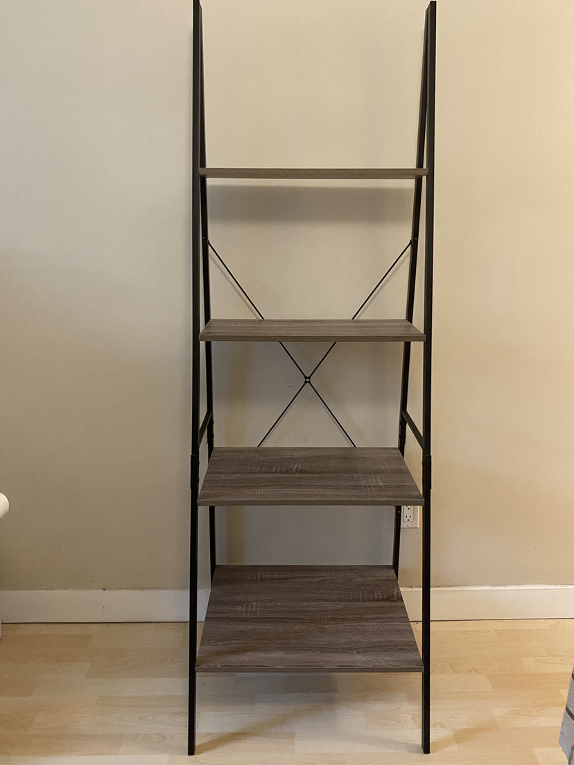 Ladder Bookshelf