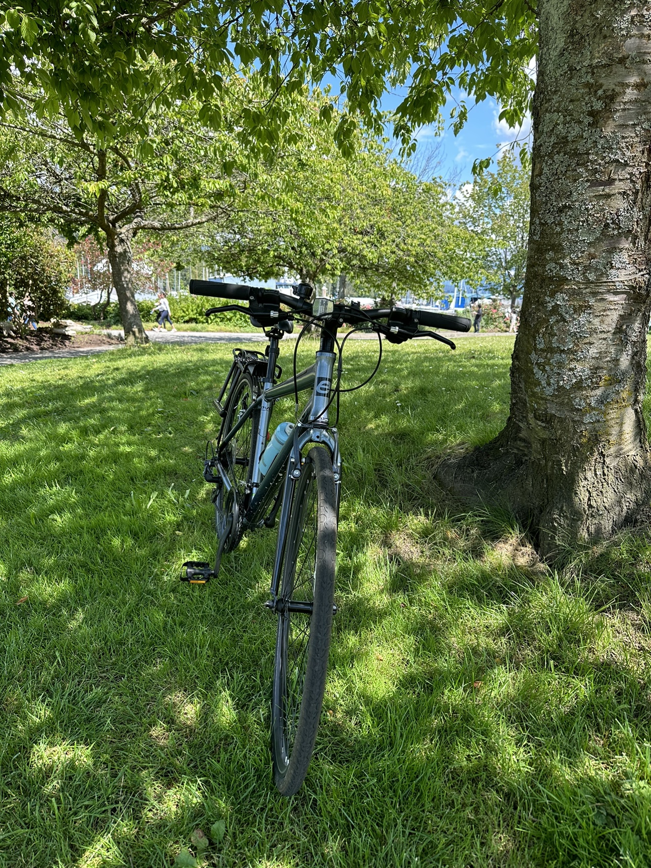 Evo bike - photo 2