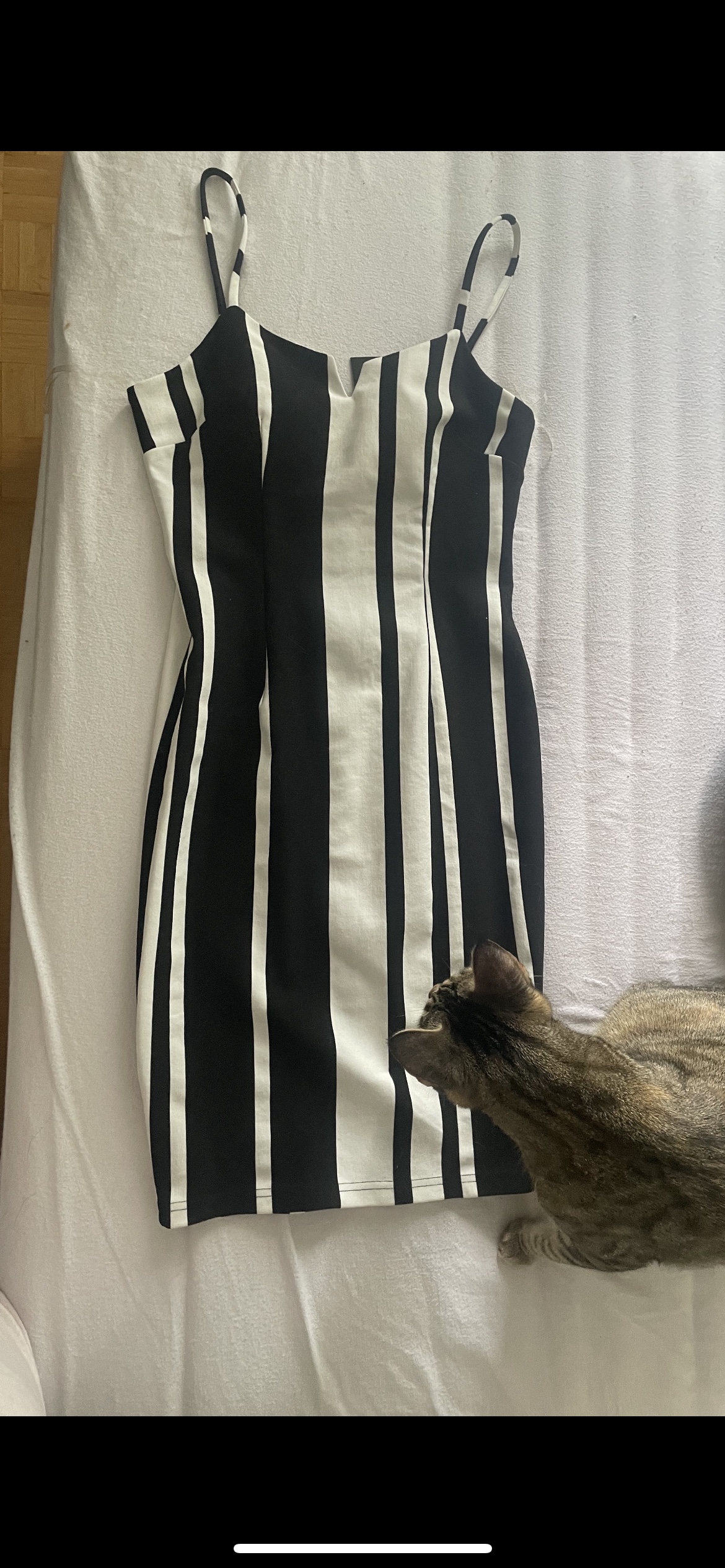 Fashion nova dress (size small)