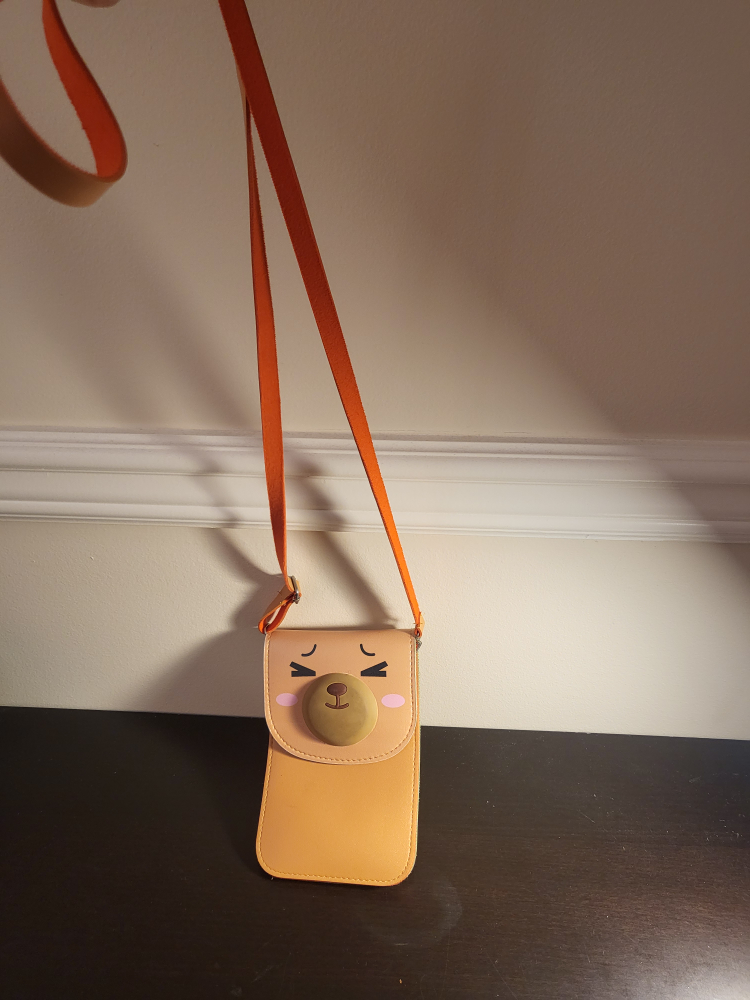 Two Tone cute bag