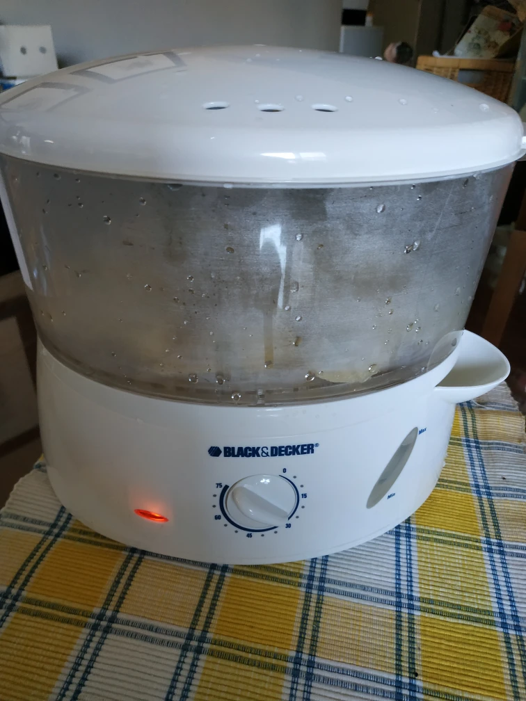 food steamer thumbnail