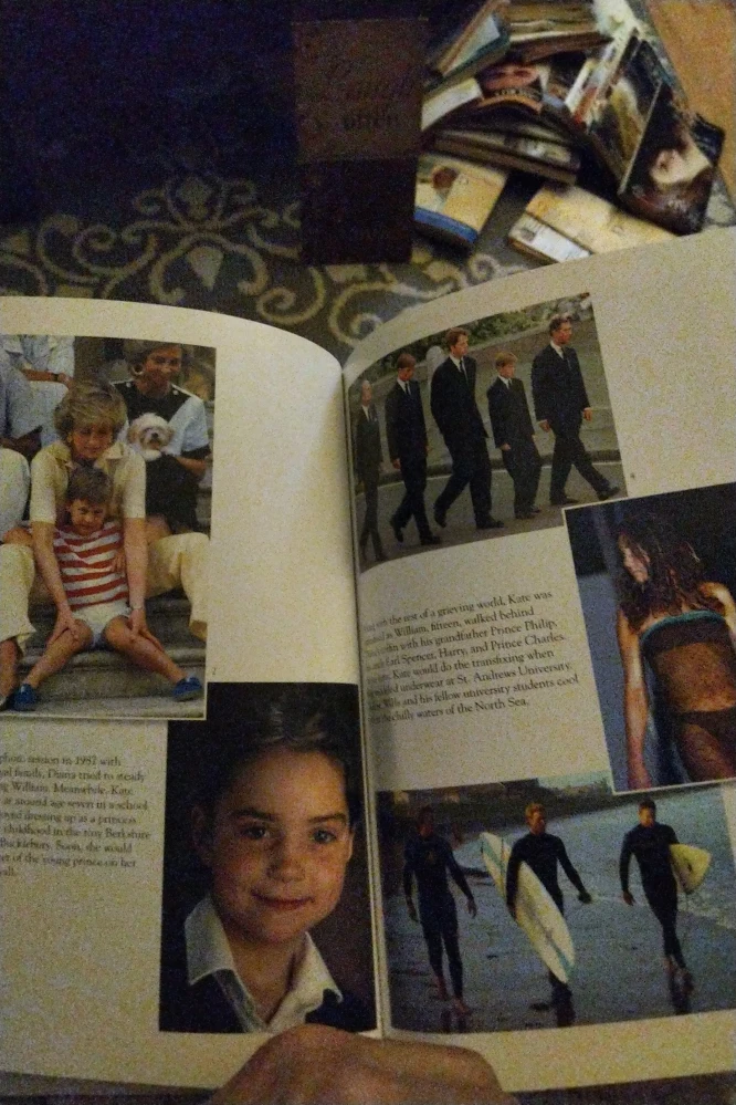 Princess Diana /Prince William and Kate books image indicator(10)