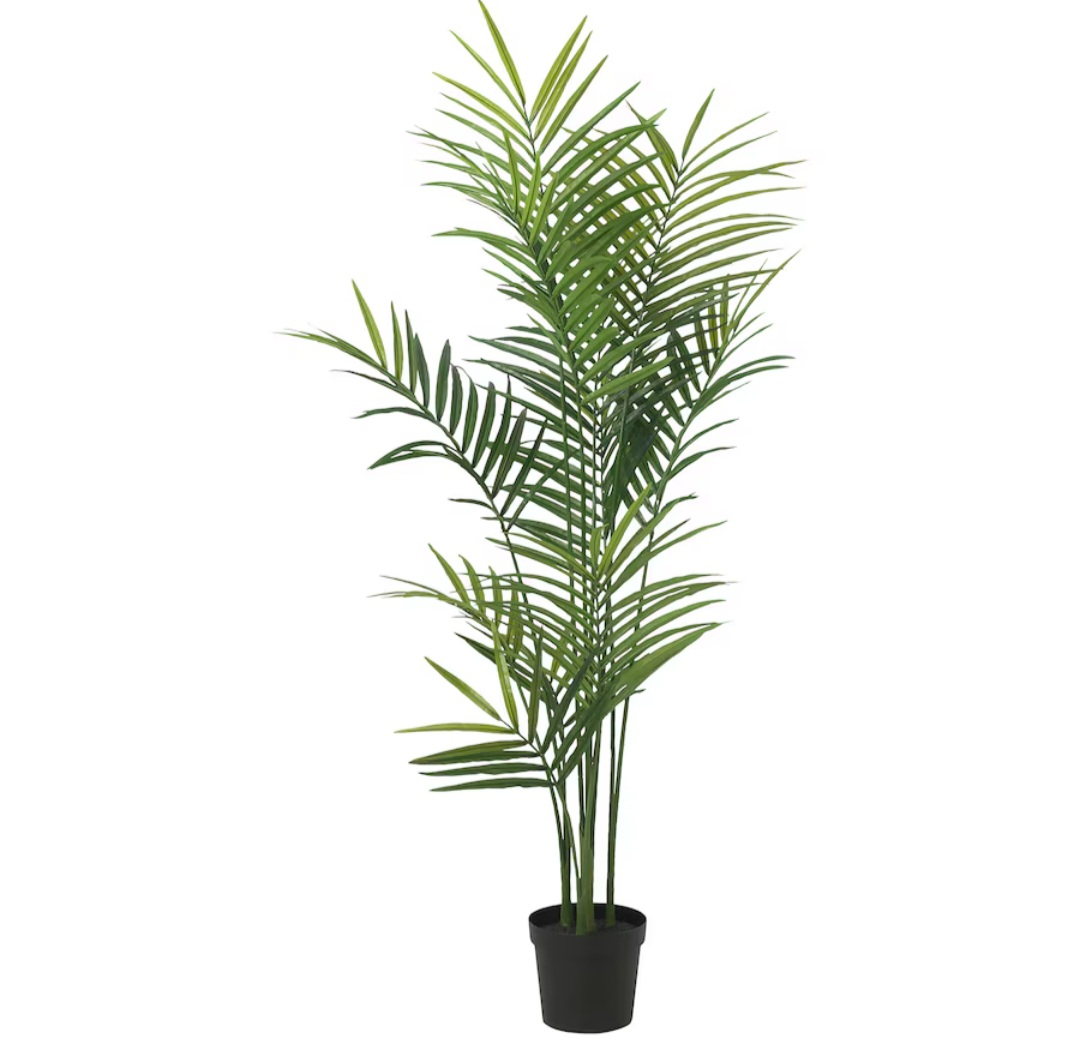 FEJKA Artificial potted plant, indoor/outdoor Kentia palm