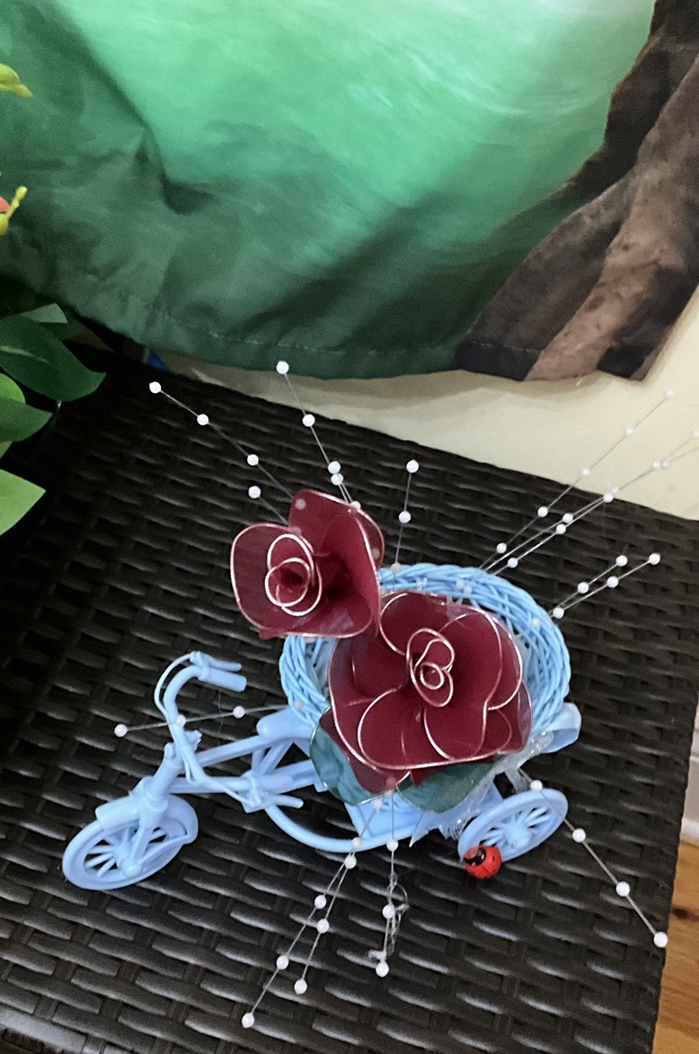 ⚽️ Flowers - blue tricycle ⚽️ - photo 4