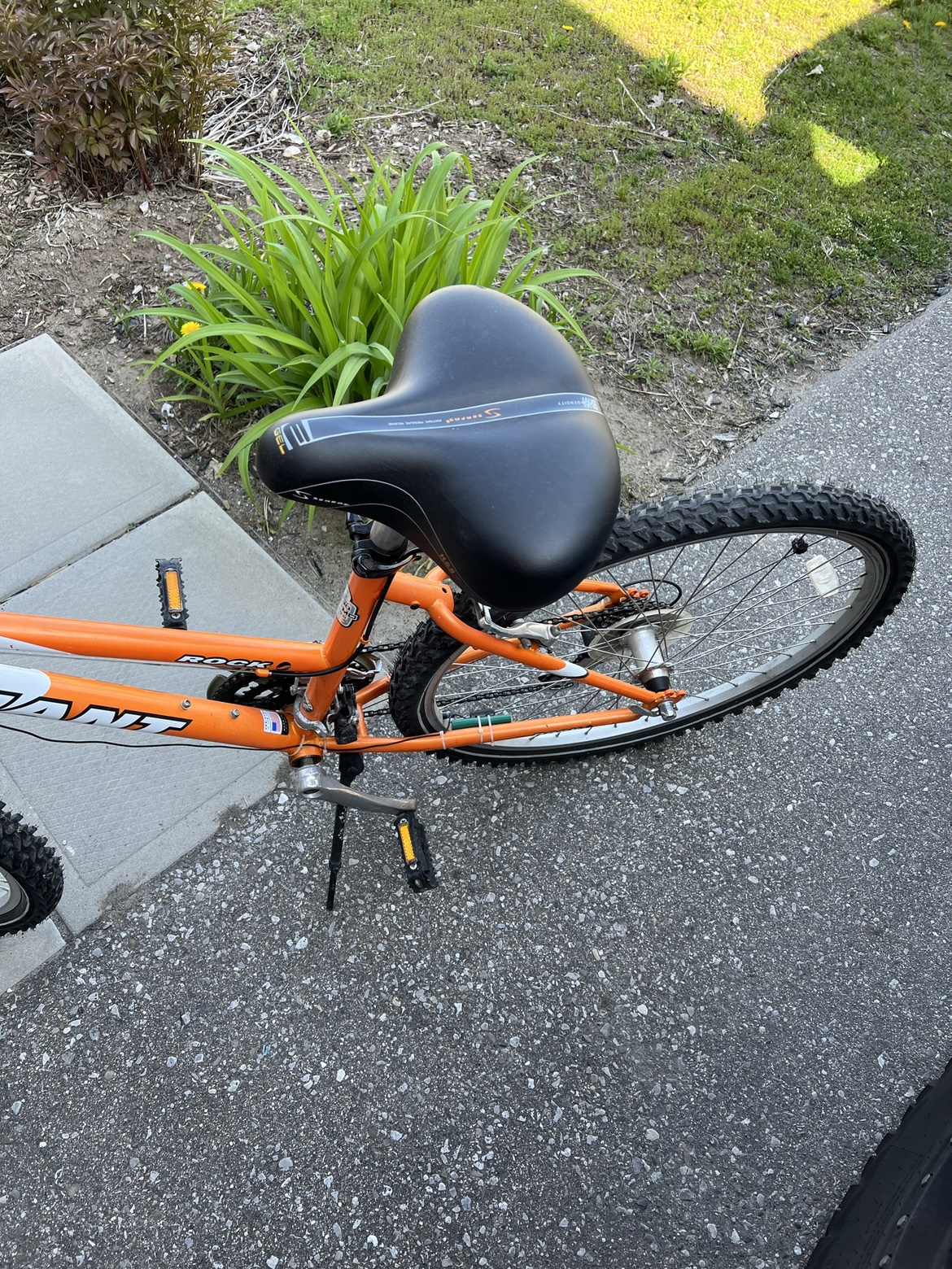 One bike for men and one for women image indicator(2)