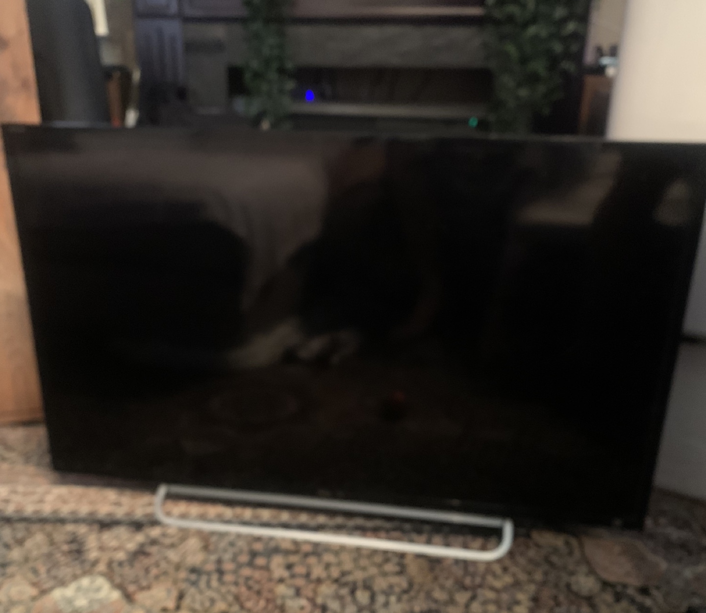 Sony TV image indicator(4)