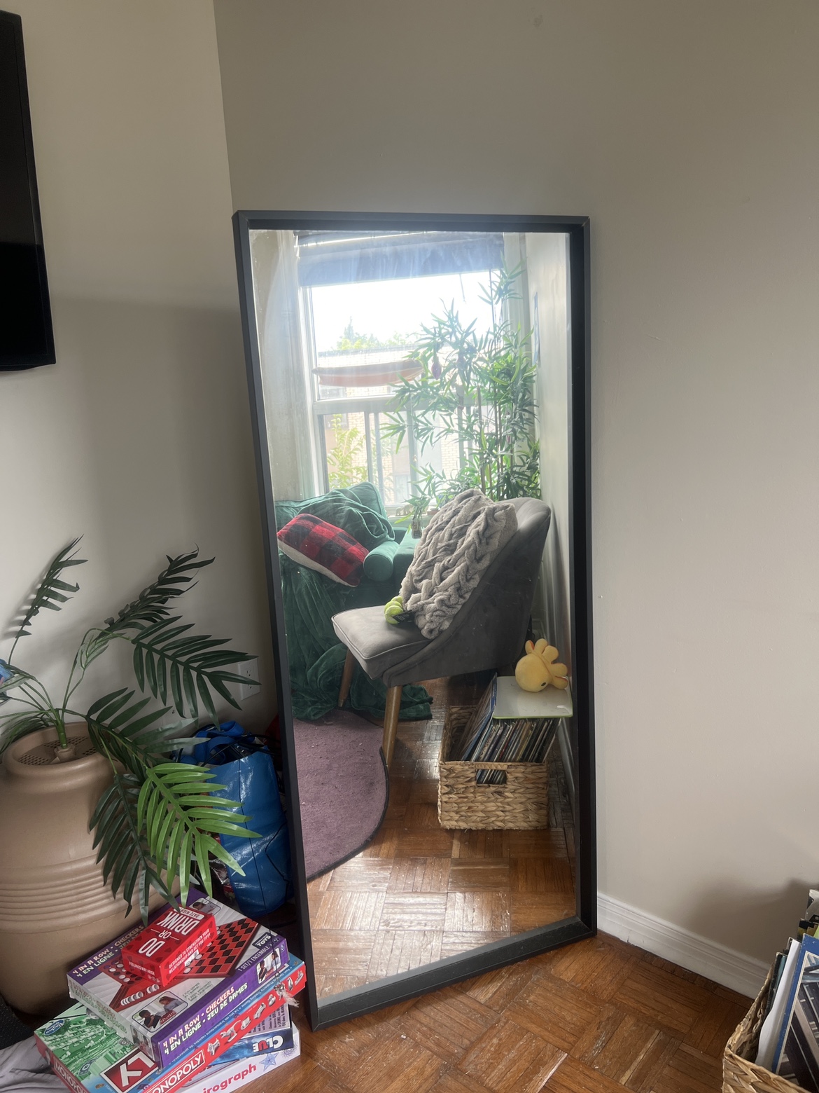 Tall Black Frame Mirror