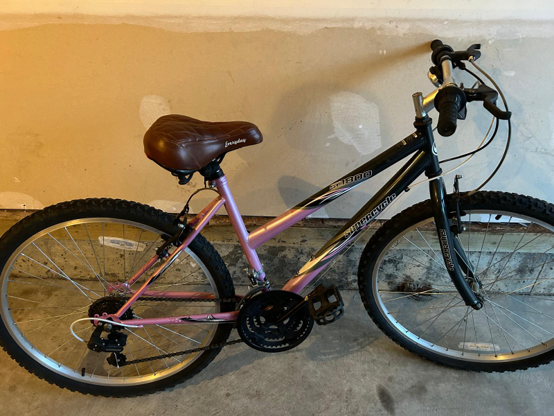 bike for adult pink color with (everyday brand )seat thumbnail