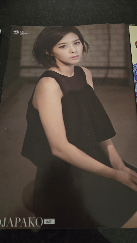 JAPAKO Magazine with 2 back to back posters #freecycle - photo 2