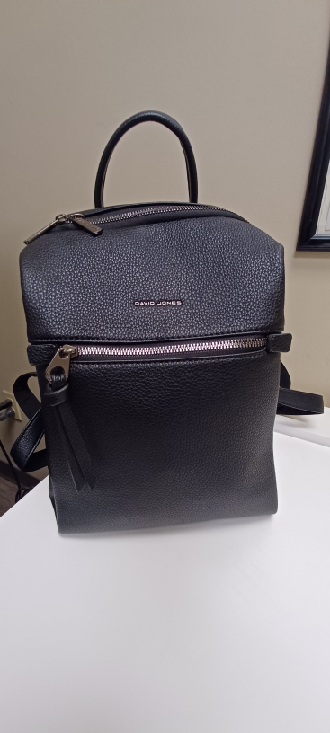 David Jones black backpack