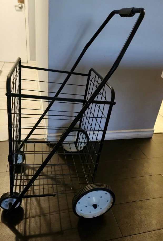 metal shopping cart thumbnail