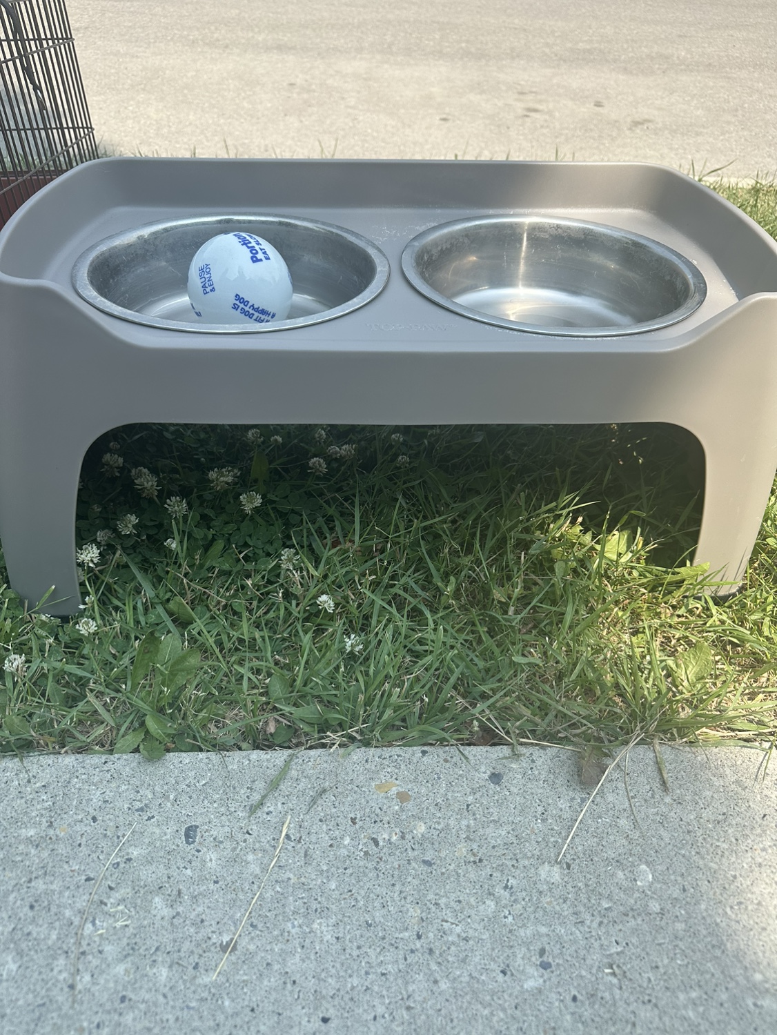 Dog dishes