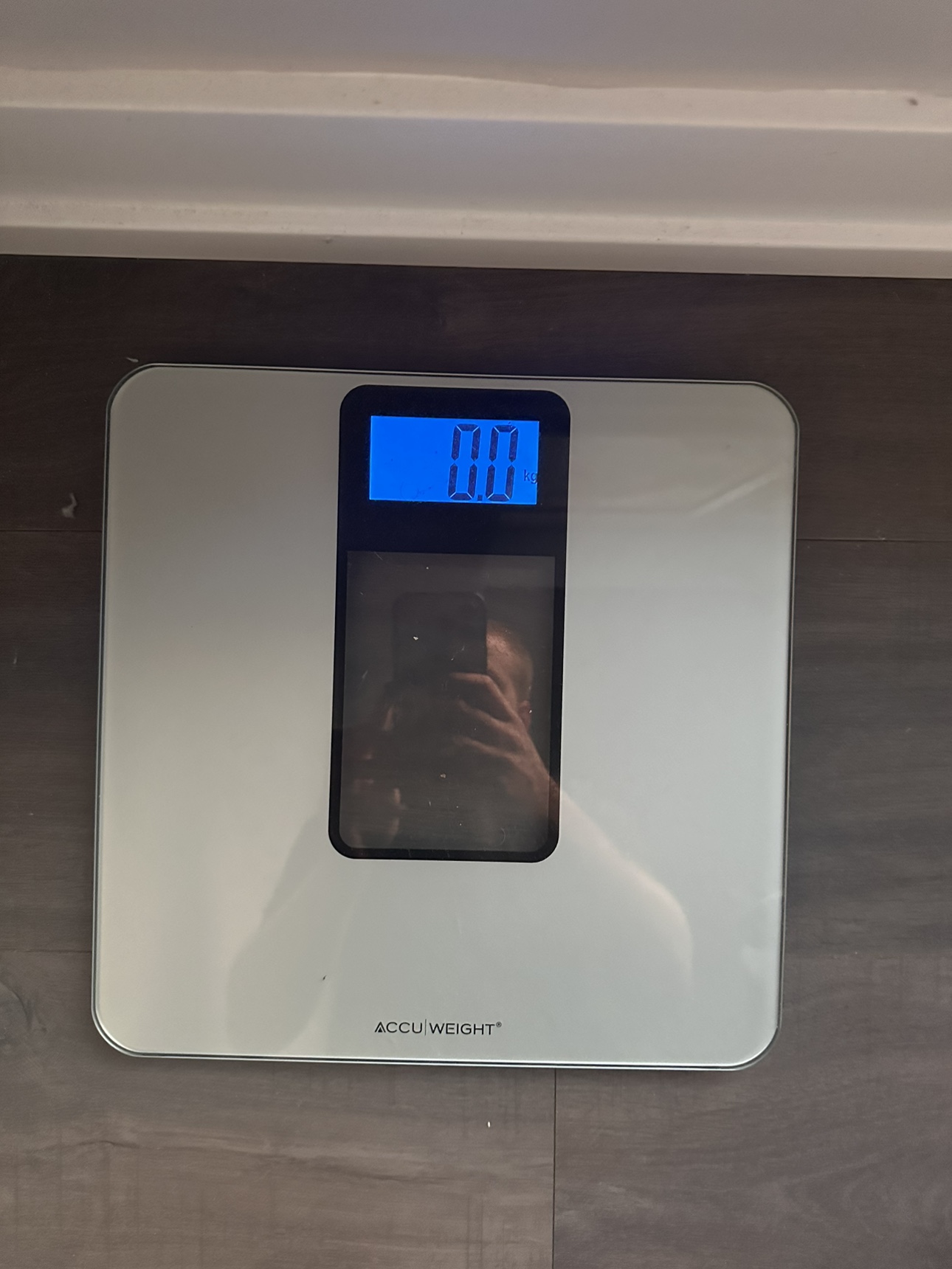 Body scale