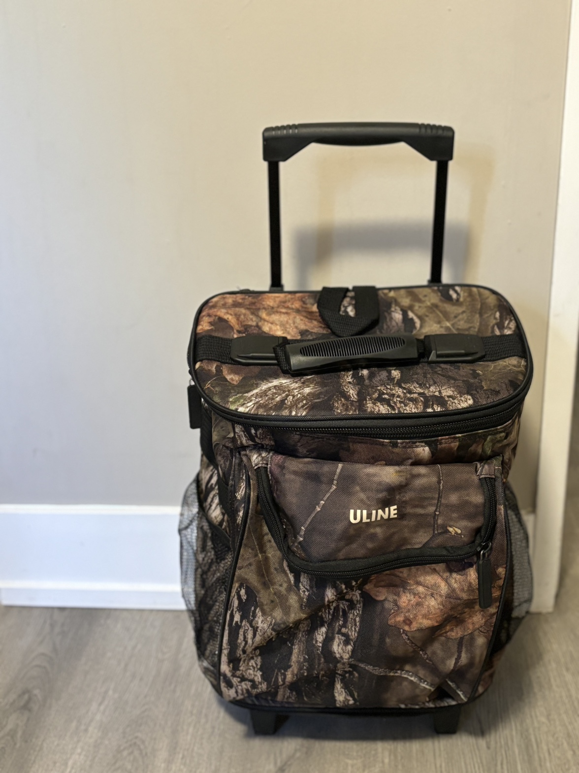 Camping cooler